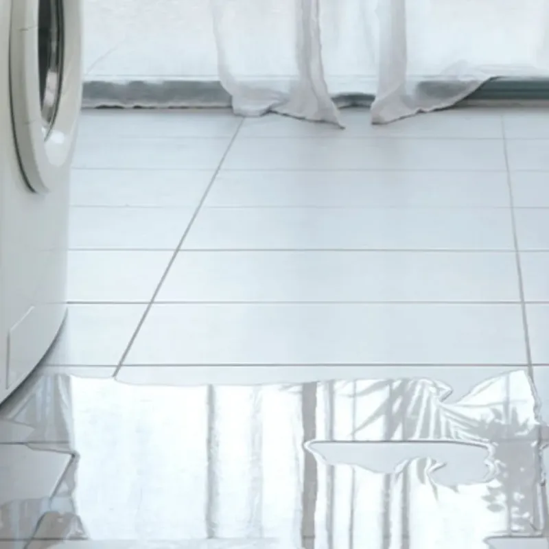 Appliance Leak Cleanup in Coto De Caza, CA