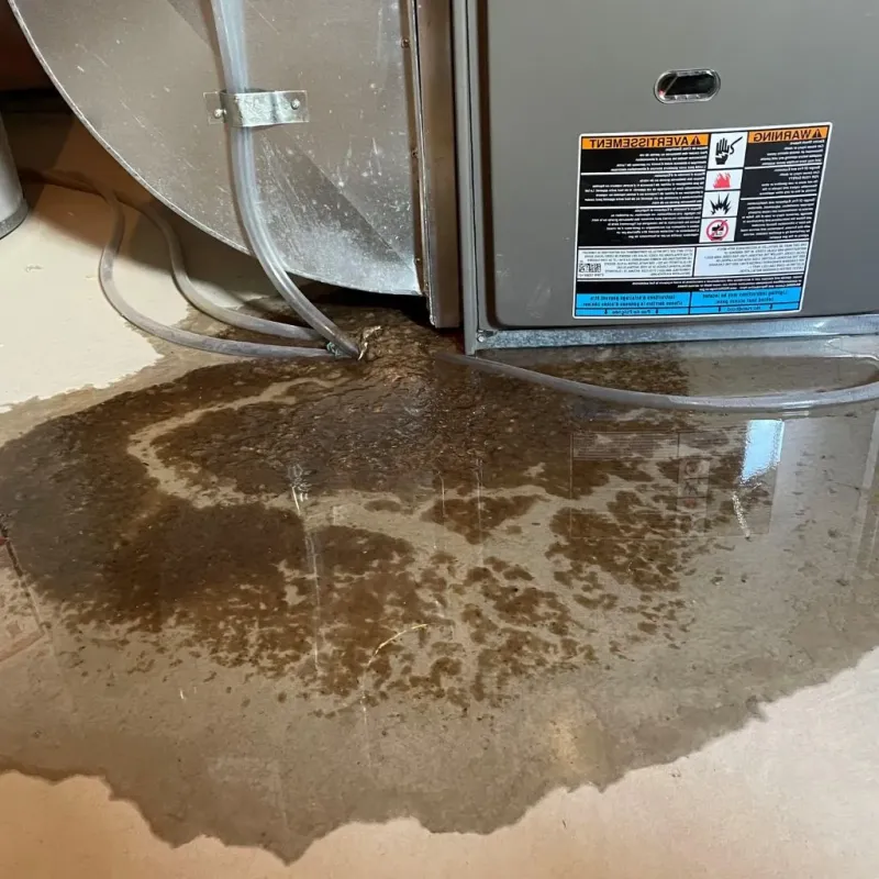 Pipe Burst and Leak Restoration in Coto De Caza, CA